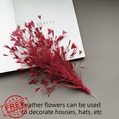 GYBZZR Burgundy Feather Bouquet 10-12″ 2Pcs