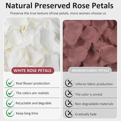 Natural Rose Petals Real Dried Flowers Weddings Parties Romantic Decor New