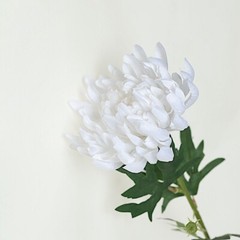 WHITE 3 Stems 27″ Silk Artificial Chrysanthemum FLOWERS Party Decorations