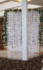 Nikkah Set Up / White Wisteria Garland Flower String 6ftx6ft Vine Backdrop