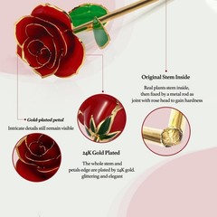 Easegain Gold Dipped Rose 24k Red Straight Stem, (With Stand)
