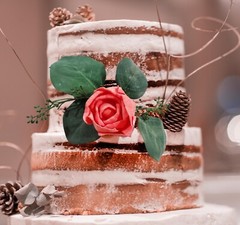 Burnt Orange Wedding Cake Topper Sola Wood Rose Flower Eucalyptus Reusable DIY