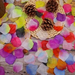Multicolor Artificial Silk Rose Petals – 2000 PCS Fake Flower Decoration for Wed