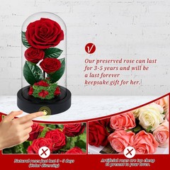 3 Preserved Flowers Roses in Glass Dome for Beauty 7.5 inches, Red