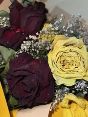 custom dried rose message
