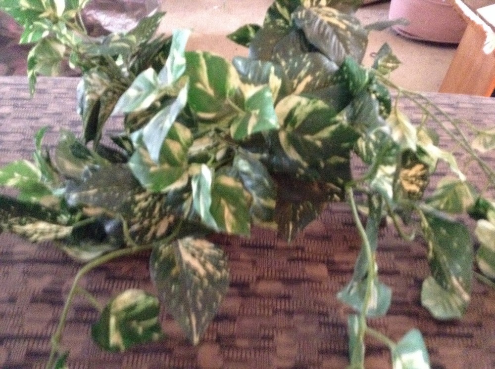 Dark Green Plastic Ivey Flower Bunches