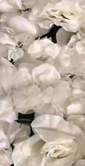 flower wall panel 24×16 decoration whiterose New)