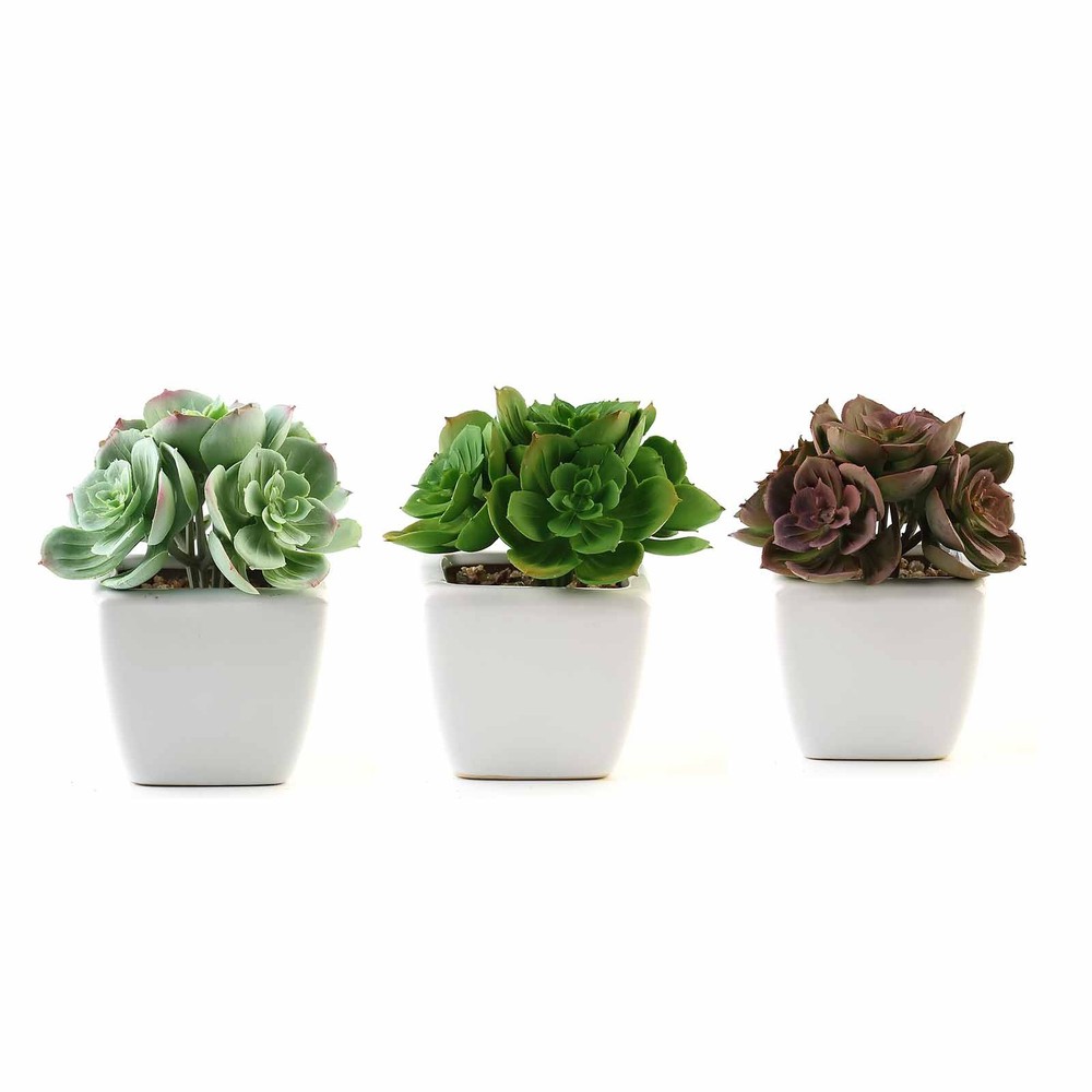 Set of 3 5″ tall Assorted Artificial Faux Succulent Plants with Off White Pots