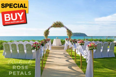 (Pre-Separated, Scented) Artificial Silk Rose Petals for Wedding Flower Petals