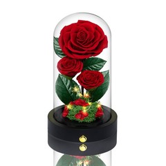 3 Preserved Flowers Roses in Glass Dome for Beauty 7.5 inches, Red