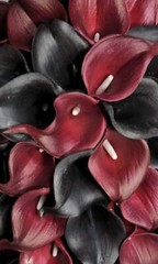 Burgundy Black Calla Lily Bridal Wedding Bouquet Accessories