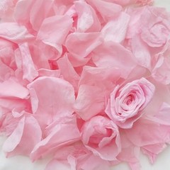 Natural Pink Rose Petals 3.52oz – Dried Flower Confetti for Weddings, Parties, D