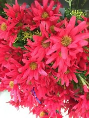 Artificial Plastic Fabric Red Colour Flowers With Green Leaves