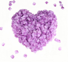 CODE FLORIST 2200 PCS Light Purple Silk Rose Petals,Lavender Petals Lilac Petals