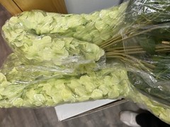 3 Pack Of 12 Each Wisteria Hanging Flowers 3.77 Feet Artificial Green New