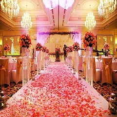 1000 Lifelike Fuchsia Silk Rose Petals – Decoration for All Occasions