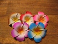 Frangipani Hairclips 7cm flower with matching color clips.