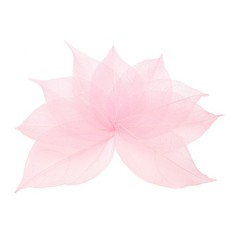 100Pcs Light Pink Skeleton Leaves, 2″- 3″ Rubber Tree Scrapbooking
