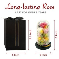 Preserved Pink Rose in Glass Dome with LED Lights – Forever