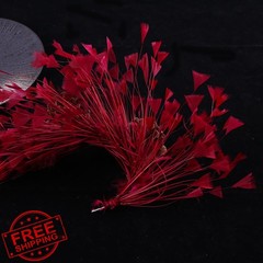 GYBZZR Burgundy Feather Bouquet 10-12″ 2Pcs
