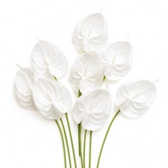 Ling’s Moment White Anthurium Flowers, 8pcs Artificial Silk Filler Plants, Fa…