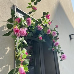 5.9FT Bendable Rose Flower Garlands, Artificial Silk Wild Roses Vine 2 Purple