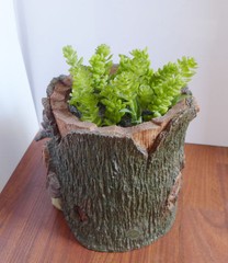 Set of 14 Artificial Succulents Grass Miniature Plants Wedding Decoration
