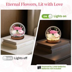 Preserved Flowers Mothers Day Gifts, Gifts for Mom Wife Grandma Pink
