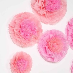 6 pack 7″ 9″ 11″ Blush and Pink Tissue Paper Carnation Flowers Backdrop