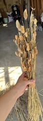 Dried Floral Bundle