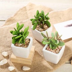 Green 3 Assorted 3″ Faux Small Succulent Plants Pots Wedding Centerpieces
