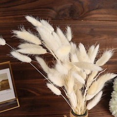 WHITE 50 Stems 15″ Rabbit Tail Dried Natural Pampas Grass SPRAYS Party Events