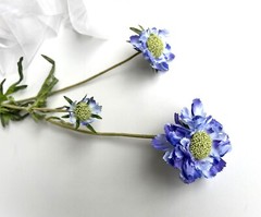 Scabiosa Stem Blue Flowers Faux Silk Scabiosas Purple Wild Flowers Rustic Stems