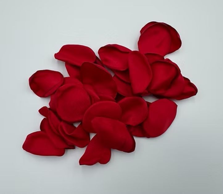 200pc Artificial Red Rose Petals