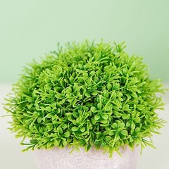 2 GREEN GRAY 5″ Mini Boxwood Topiary Potted ARTIFICIAL PLANTS Home Decorations