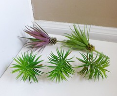 5 Artificial Grass Agave And Mini Pine Tree Succulents Plants Home Garden Decor