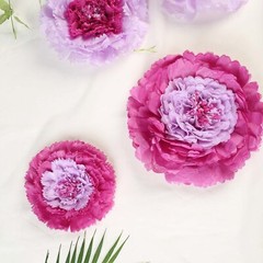 12 pack 12″ 16″ 20″ Lavender Tissue Paper Carnation Flowers Home Backdrop