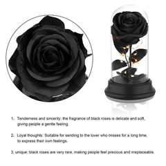 Deluxsa Forever Preserved Black Rose Birthday Gifts for middle,