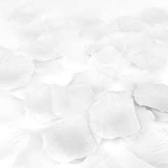 500 Pcs Exquisite White Rose Petals, Emulation Silk Rose Petals, Artificial Flow