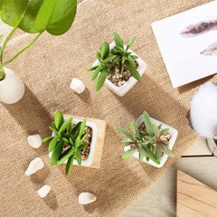 3 3″ Assorted Mini Green Faux Small Succulent Plants with Off White Ceramic Pots
