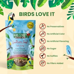 Bird Street Bistro Southern Feast Parrot Food for Parakeets & Cockatiels – 20 oz