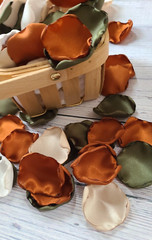 100 Rose Petals Terracotta Wedding Decor Olive Beige Flower Petals Aisle Decor