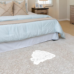 500 Pcs Exquisite White Rose Petals, Emulation Silk Rose Petals, Artificial Flow
