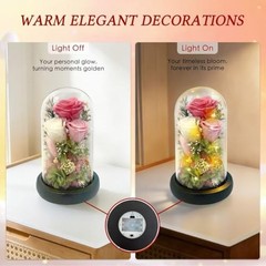 Preserved Pink Rose in Glass Dome with LED Lights – Forever