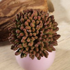 Set of 3 4″ tall Assorted Artificial Faux Jelly Bean Succulent Picks Stems Party