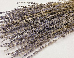 1/2 LB Natural Dried Lavender Bundle Original Natural Fragrance Preserved