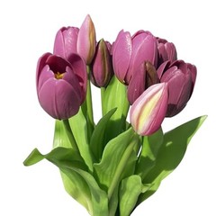 10pcs Multicolor Artificial Tulip Bundle with 5pcs Purple and 5pcs Light Purple