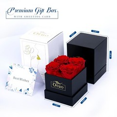 Preserved Roses in Gift Box, Real Eternal Rose Flower Gifts for Anniversary -Red