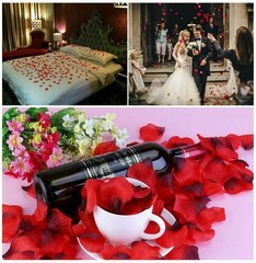 1000/2000x Silk Red Rose Petals Flower Romantic Night Wedding Event Party Decor
