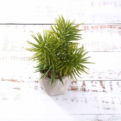 Green 3 Assorted 8″ Artificial Faux Cute Crassula Succulent Plants Pots